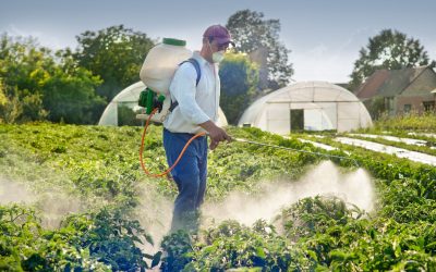 Learn why selective herbicides make managing persistent weeds easy for American homeowners