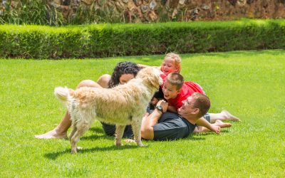 Experience unforgettable weekends with family activities Kansas City, MO locals recommend