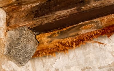 Reliable steps for Water Damage Cleanup in Downers Grove IL after a household flood